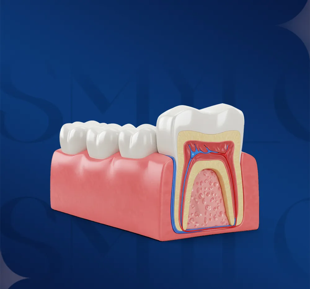 questions about dental filling